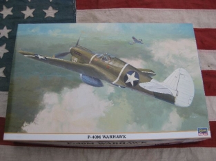 Has.08199  P-40M WARHAWK